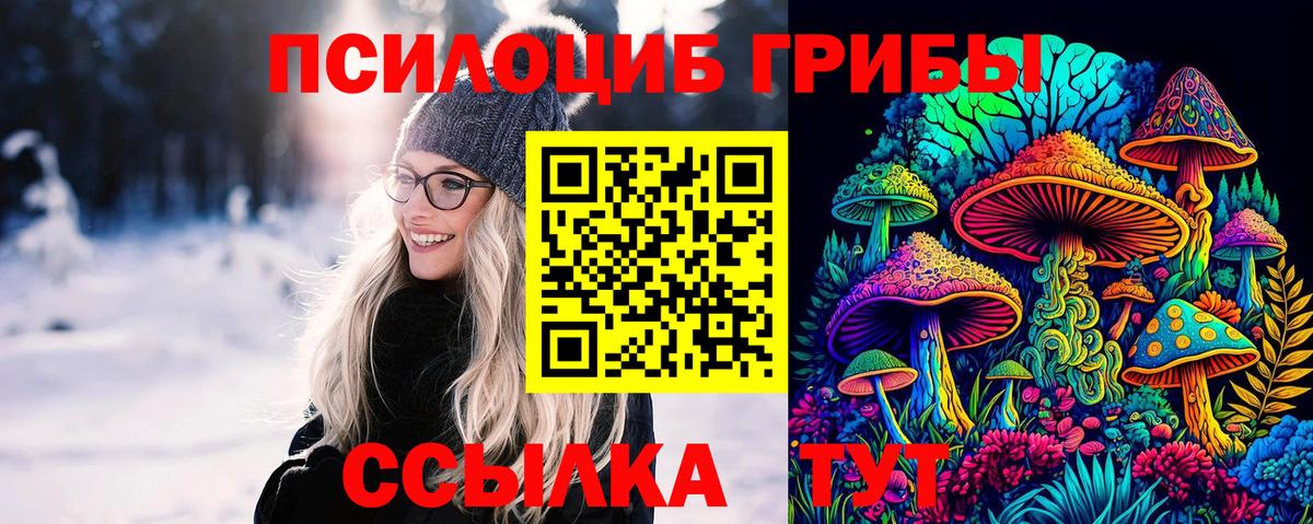 Галлюциногенные грибы мухоморы Новосибирск