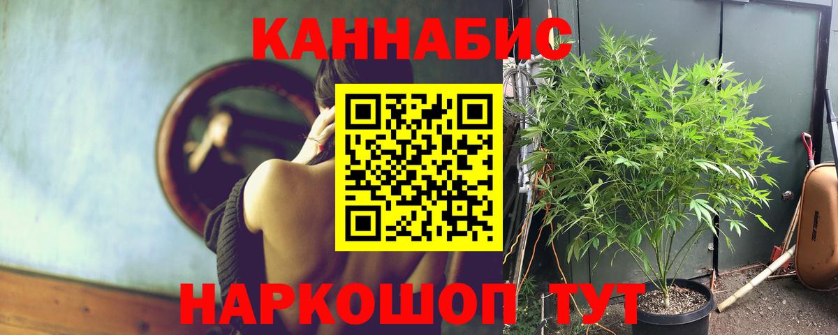 Бошки Шишки Amnesia Новосибирск
